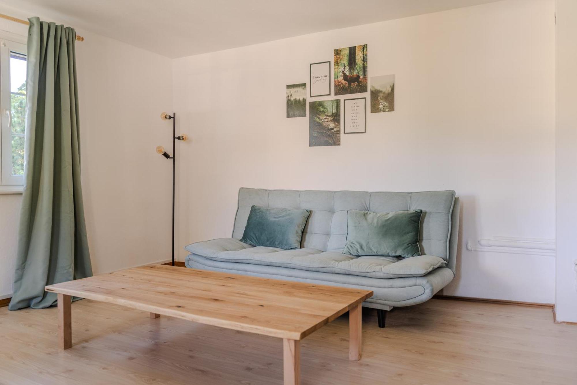 Apartament Vista Todtnauberg 2 Zewnętrze zdjęcie